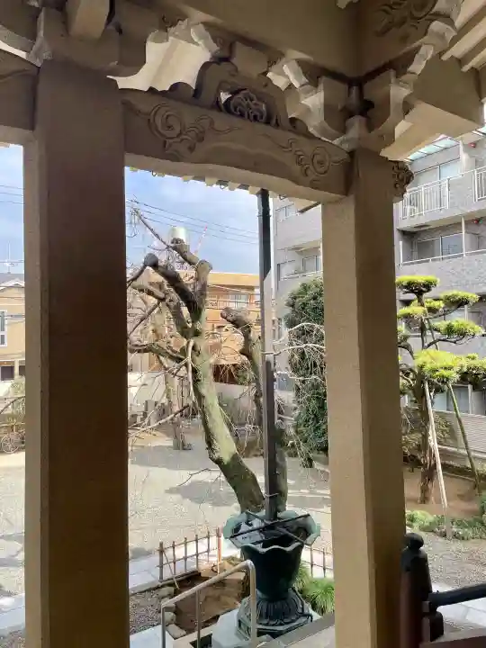 西應寺の{uncategorized: "未分類", other: "その他", undefined: "問題あり", building: "その他建物", grave: "お墓", sacred_gate: "鳥居", guardian: "狛犬", statue: "像", buddha: "仏像", history: "歴史", nature: "自然", garden: "庭園", animal: "動物", pagoda: "塔", temizu: "手水舎", mountain_gate: "山門・神門", sanctuary: "本殿・本堂", subordinate: "末社・摂社", art: "芸術", scenery: "景色", jizo: "地蔵", ema: "絵馬", goshuin: "御朱印", omikuji: "おみくじ", items: "授与品その他", amulet: "お守り", goshuincho: "御朱印帳", eats: "食事", festival: "お祭り", votive_dance: "神楽", shichigosan: "七五三参", wedding: "結婚式", experience: "体験その他", initially: "初詣", around: "周辺", anti_infection: "感染症対策"}