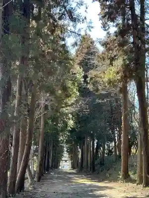 千代ケ岡八幡宮(栃木県)