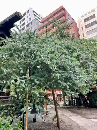 蔵前神社(東京都)