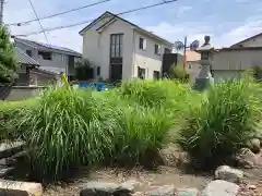 白山神社の自然