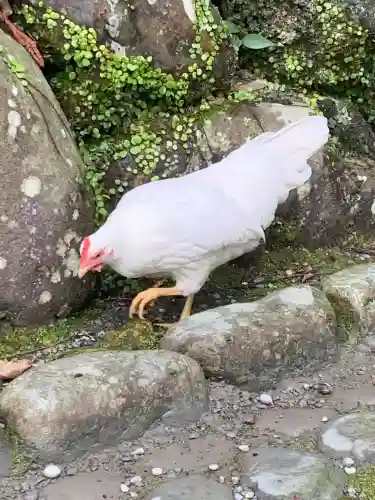 伊勢神宮外宮（豊受大神宮）の{uncategorized: "未分類", other: "その他", undefined: "問題あり", building: "その他建物", grave: "お墓", sacred_gate: "鳥居", guardian: "狛犬", statue: "像", buddha: "仏像", history: "歴史", nature: "自然", garden: "庭園", animal: "動物", pagoda: "塔", temizu: "手水舎", mountain_gate: "山門・神門", sanctuary: "本殿・本堂", subordinate: "末社・摂社", art: "芸術", scenery: "景色", jizo: "地蔵", ema: "絵馬", goshuin: "御朱印", omikuji: "おみくじ", items: "授与品その他", amulet: "お守り", goshuincho: "御朱印帳", eats: "食事", festival: "お祭り", votive_dance: "神楽", shichigosan: "七五三参", wedding: "結婚式", experience: "体験その他", initially: "初詣", around: "周辺", anti_infection: "感染症対策"}
