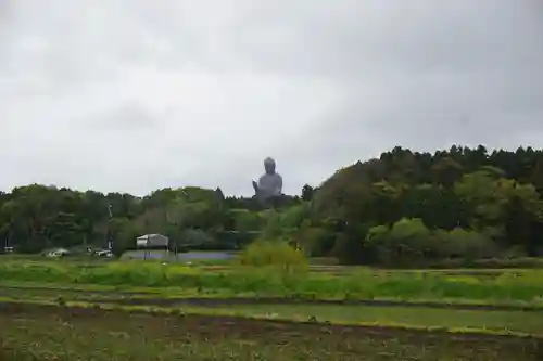 東本願寺本廟 牛久浄苑（牛久大仏）の景色