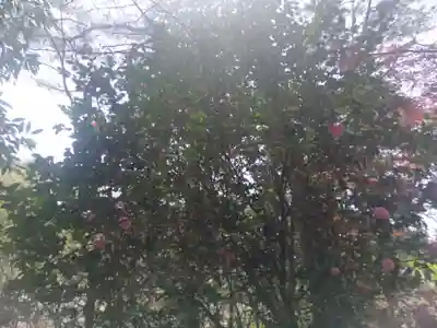 八幡神社(福島県)