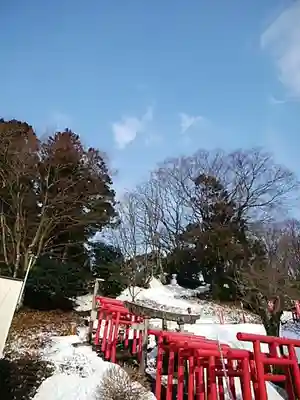 白狐山光星寺の鳥居