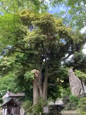 菅原神社(神奈川県)