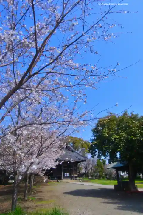 川和八幡神社(神奈川県)