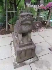 鳩森八幡神社の狛犬