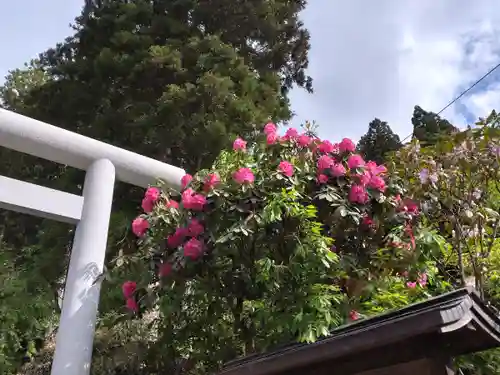 御岩神社の自然