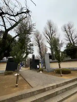 寛永寺(根本中堂)(東京都)