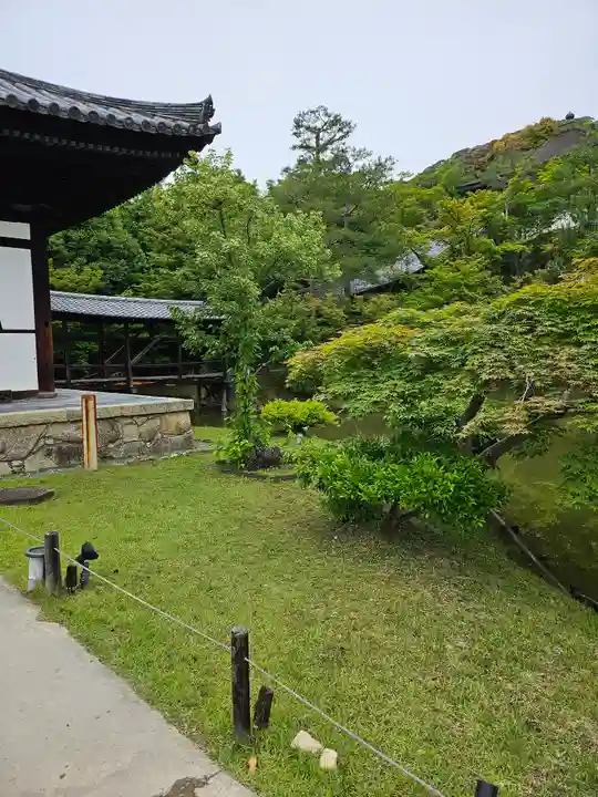 高台寺(高台寿聖禅寺・高臺寺)(京都府)