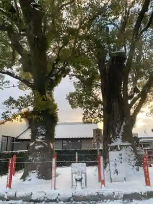 美奈宜神社(福岡県)