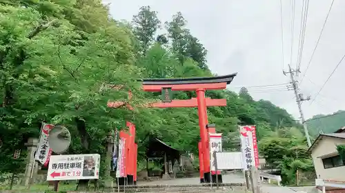 金櫻神社の鳥居