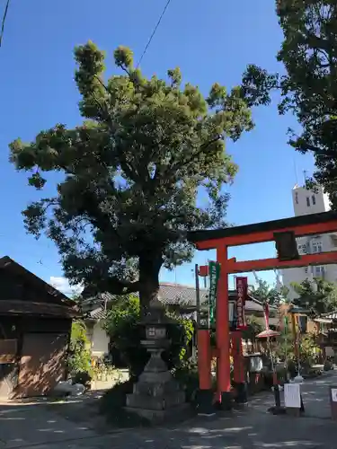 源九郎稲荷神社の鳥居