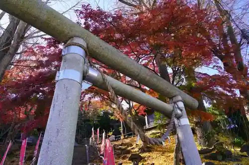 温泉神社〜いわき湯本温泉〜の鳥居