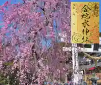 金蛇水神社の御朱印
