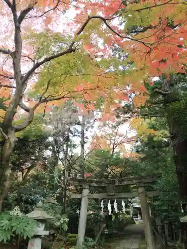 五所駒瀧神社の自然