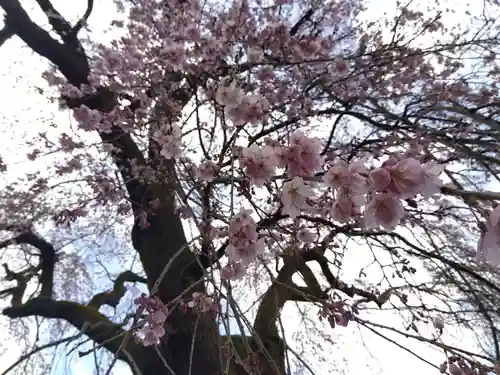 日朝寺(新潟県)