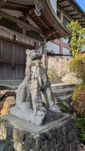 宇治神社の狛犬