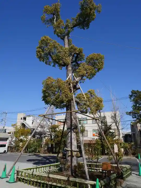 溝口神社の自然