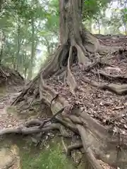 圓教寺(兵庫県)