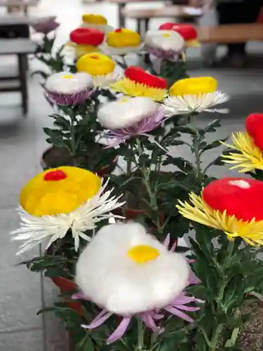 市比賣神社の自然