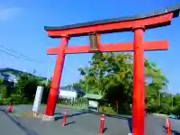 白笹稲荷神社の鳥居