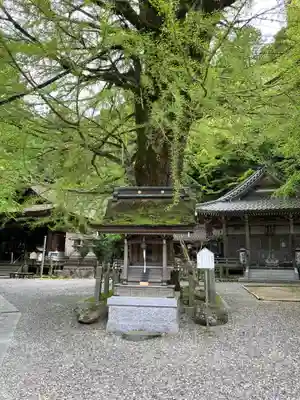 正法寺(滋賀県)