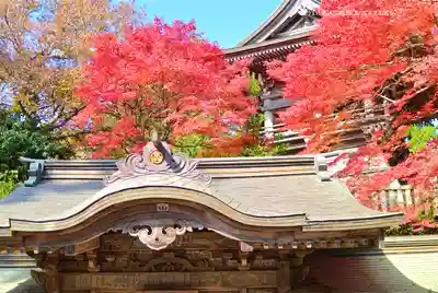 高尾山薬王院(東京都)