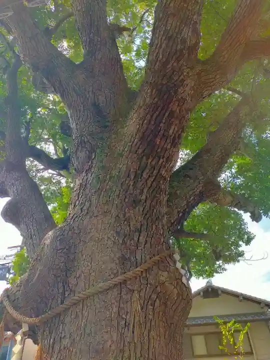 阿保神社(大阪府)