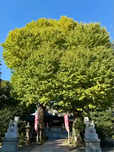 亀ケ池八幡宮(神奈川県)