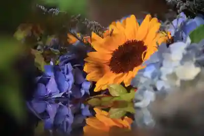 滑川神社 - 仕事と子どもの守り神の手水舎