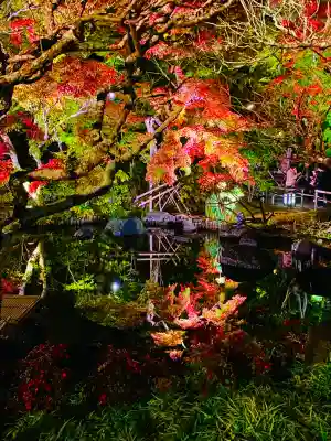 長谷寺(神奈川県)