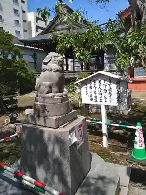 湊稲荷神社の狛犬
