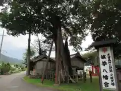 旗挙八幡宮の自然