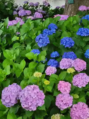 性海寺(愛知県)