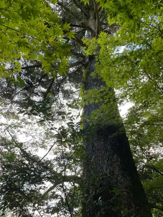 苗秀寺(京都府)