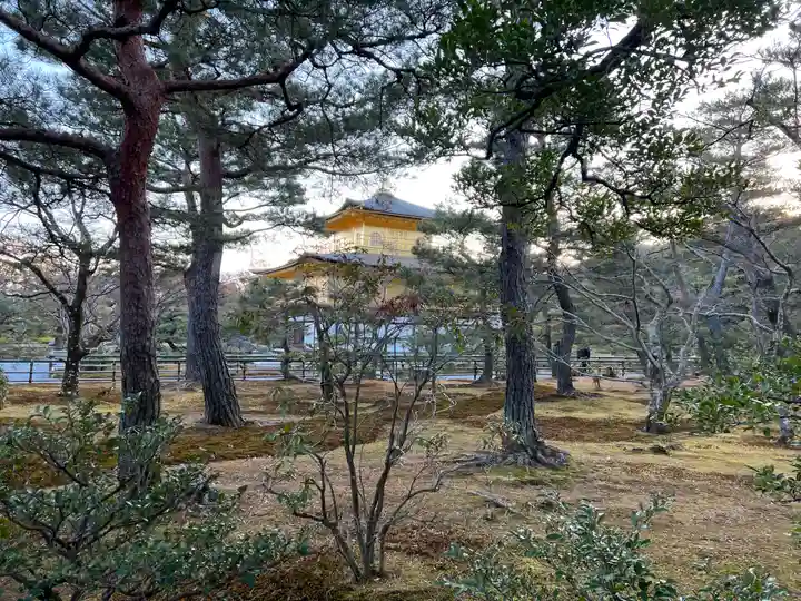 鹿苑寺(金閣寺)の自然