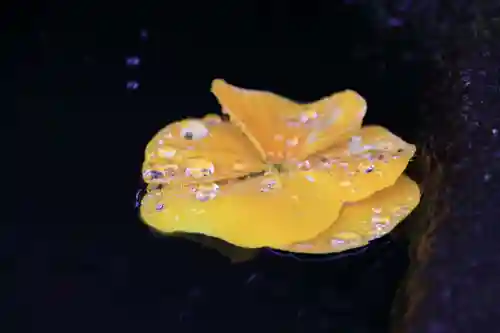 大鏑神社の手水舎