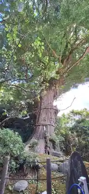 荏柄天神社(神奈川県)