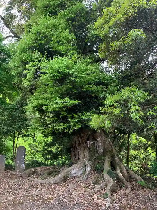 日枝神社(千葉県)