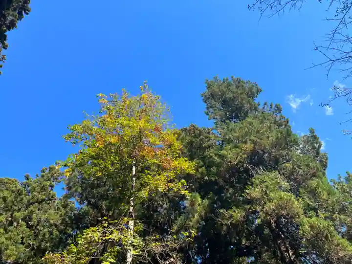 大宮温泉神社(栃木県)