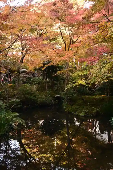 圓光寺(京都府)