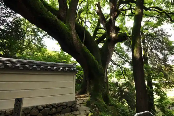 大興寺(香川県)