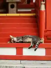 白金氷川神社(東京都)