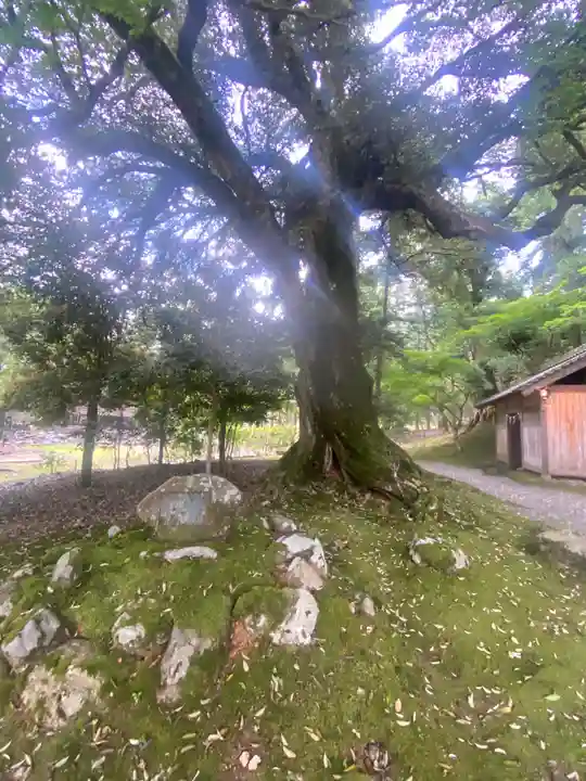 若狭神宮寺(福井県)