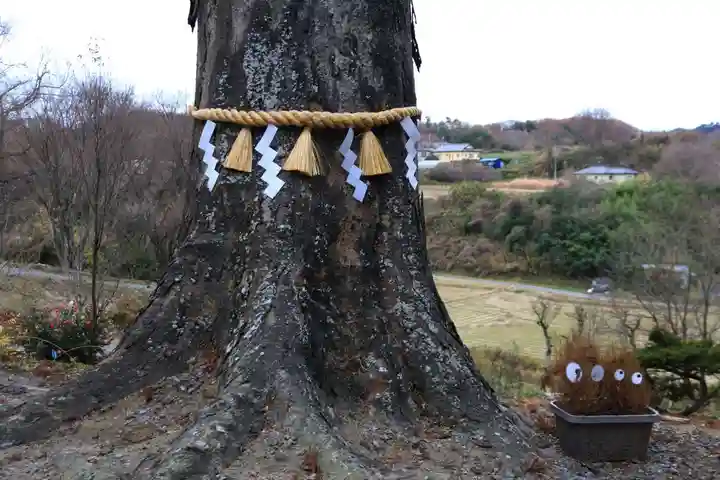 阿久津「田村神社」(郡山市阿久津町)旧社名:伊豆箱根三嶋三社の自然