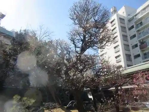 湯島天満宮(東京都)