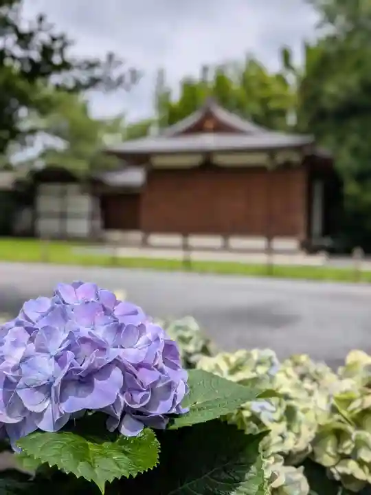 阿佐ヶ谷神明宮(東京都)