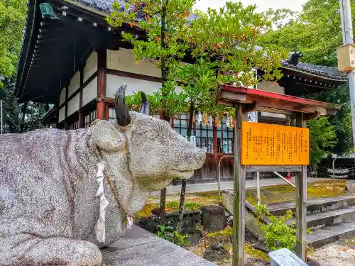 高牟神社（瀬古）の狛犬