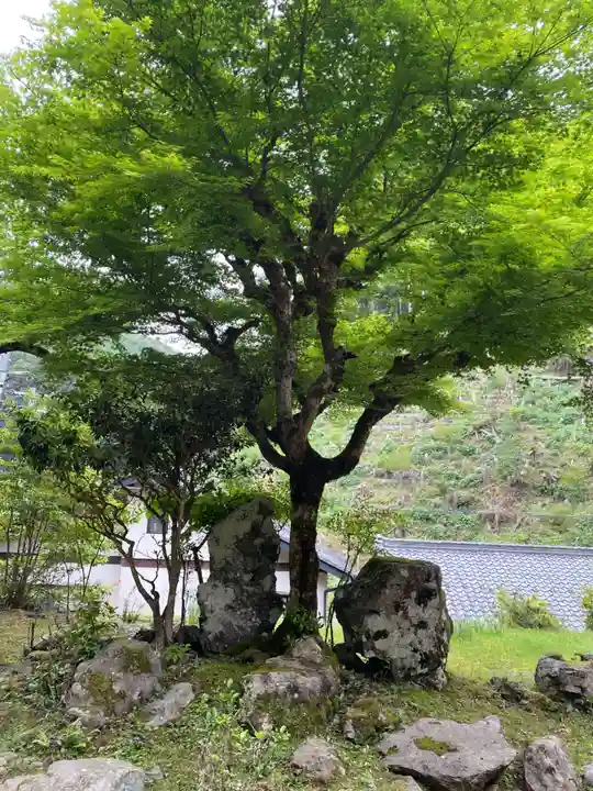 洞谷寺(京都府)